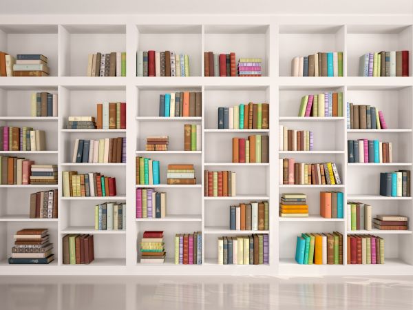 Bookshelf Assembly in Livermore